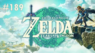 The Legend of Zelda Tears of the Kingdom Switch  Lets Play 189  No Commentary [upl. by Garretson709]