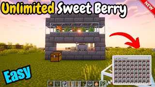 How to Build Automatic Sweet Berry farm Minecraft 120  Minecraft Sweet Berry farm [upl. by Brocklin]