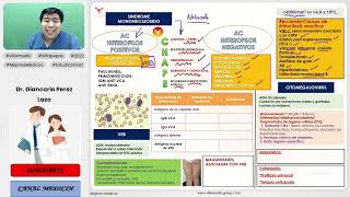 INFECCIONES VIRALES PARTE 3  SÍNDROME MONONUCLEOSIDO CITOMEGALOVIRUS VEB INFECTOLOGÍA VILLAMEDIC [upl. by Olinde813]