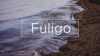 Fuligo® 제품 소개 [upl. by Hollington]