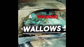 A Warning  Wallows Lyrics [upl. by Ahsuas]