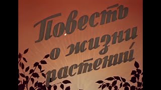 ПОВЕСТЬ О ЖИЗНИ РАСТЕНИЙ Научнопопулярный фильм1947 [upl. by Haseefan986]