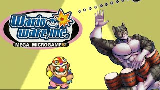 Warioware ON THE DK BONGOS [upl. by Heise]