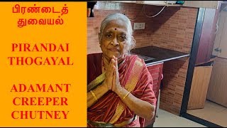 Grandmoms Authentic Pirandai Thogayal Recipe  பிரண்டைத் துவையல்  Adamant Creeper Chutney [upl. by Eikram812]