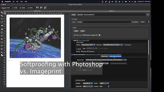 Printing from Photoshop or Using a RIP Why we use ImagePrint from Colorbyte Software [upl. by Easlehc]