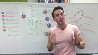 Gut microbiota gut bacteria  Introduction [upl. by Aihsas]