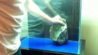 How to set up an Tanganyikan Cichlid Tank  Shell Dwellers [upl. by Lewap137]