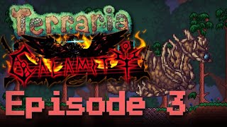 Cnidrion Terraria Calamity Mod Episode 3 [upl. by Razal]