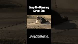 Larry the Downing Street cat isnt happy [upl. by Ehcor]