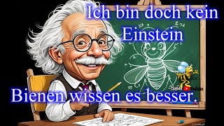 Ableger 15 DNM Brutraum verhonigt Imkerei Bienen und Natur 2024 [upl. by Ardnuasal552]