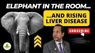 Liver Disease Epidemic and an Elephant in the Room [upl. by Clevie]