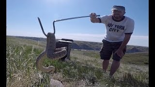 Rattlesnake Sounded Like Sprinkler [upl. by Teragram106]