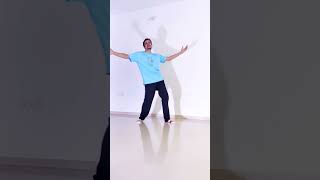 Chaleya Dance Tutorial  Laveena Ashish  Learn Quickly [upl. by Aenitsirhc]