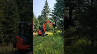 Excavator Brush Cutter Attachment BeaverTech [upl. by Annawahs]