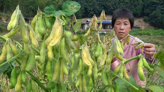 毛豆碧绿清香，阿嬷卤制盐焗2种五香毛豆，配嫩绿豆腐花超绝！｜green soybeans【 闽湖阿嬤Fujian Grandma】 [upl. by Ymmik]