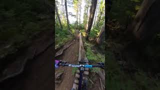 Whistlers Longest Skinny whistlerbikepark bike endurobike [upl. by Higgs]