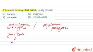 Polycistronic mesenger RNA mRNA usually occurs in [upl. by Odnaloy]