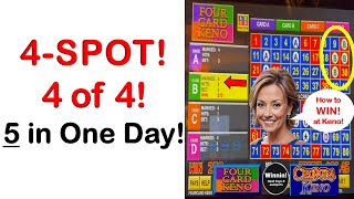 4SPOT KENO  4 of 4 Winners  5 in One Day shorts keno slots casino [upl. by Ammeg825]