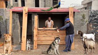 Animals K Lye Kitchen Bnwa Rhy Hain Bht Piari Si😍 [upl. by Maudie]