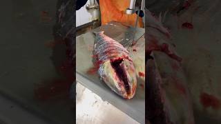 Amazing Hilsa Fish Cutting Skillshilsafish cutting in Bangladesh Super shopfishcuttingshortsbd [upl. by Foulk]