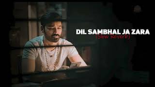 Dil Sambhal Ja Zara Phir Mohabbat  Slow Reverb  Emraan Hashmi  Barfi [upl. by Esinet]