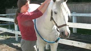 Horse Massage Jostling the Neck [upl. by Naginnarb861]