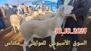 من السوق الأسبوعي أربعاء مكناس بتاريخ 30102024 مع أثمنة حولي خروف خروفة نعجة والماعز والعجول [upl. by Rena]