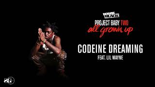 Kodak Black  Codeine Dreaming feat Lil Wayne Official Audio [upl. by Lathan236]