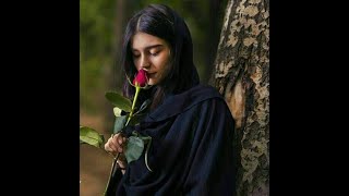 Persian Music Iranian  Music 2024 کاش میشد [upl. by Teirrah522]