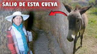 Un burro violento nos atacó cuando ingrese a la cueva del terror y escuche gritos de dolor [upl. by Adnaral]