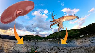 Wels angeln mit Niere und Tintenfisch am Rhein  Mission Wels Ep 24 [upl. by Auot292]