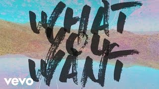 Tenth Avenue North  What You Want Official Lyric Video [upl. by Rebeh]