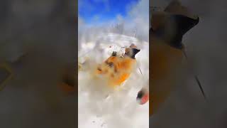 The cheering was on point best extremesport snow snowboardfails [upl. by Berstine124]