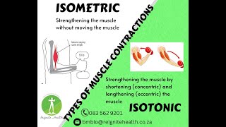 Types of Muscle contractions [upl. by Saitam540]