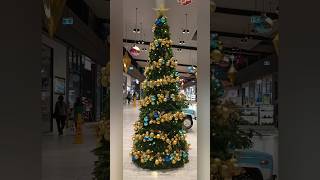 Xmas tree🎄🎁2024 decoration celebrations beautiful christmastree christmas jesus2024shorts [upl. by Aelram314]