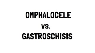 Omphalocele and Gastroschisis [upl. by Ellord712]