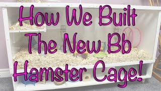 BudgetBunny How We Built The New DIY Bb Hamster Cage [upl. by Nessi981]