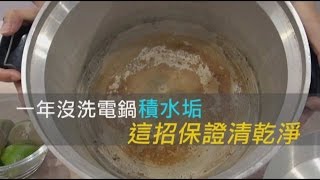 一年沒洗電鍋積水垢 這招保證清乾淨  台灣蘋果日報 [upl. by Rehpoitsirhc]