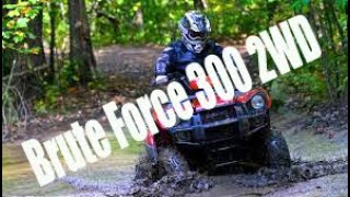 2022 Kawasaki Brute Force 300 2WD [upl. by Celie]