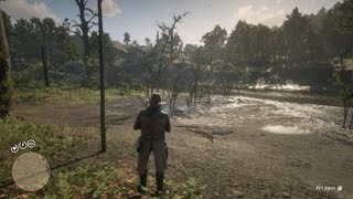 Red Dead Redemption 2  RDR2  NORTH AMERICAN BEAVER  LOCATION  ZOOLOGIST 8  SKIN DEEP  3 STARS [upl. by Einnol825]