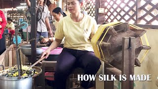 How silkworm is made  How to make silk step by step [upl. by Ode507]