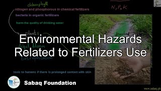 Environmental Hazards Related to Fertilizers Use Biology Lecture  Sabaqpk [upl. by Ainollopa]