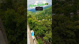 PAPINE JAMAICA 🇯🇲  viralvideo fypage [upl. by Mlohsihc]