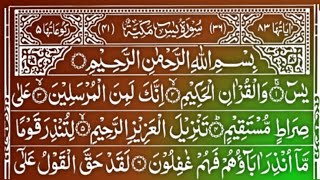 Surah Yaseen  Yasin Dua  Daily Quran Tilawat Surah Yasin  daily new update  EP  300 [upl. by Geminius]