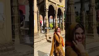 Palazzo Song 🥰 shorts trending viralreels punjabisong youtubeshorts [upl. by Nylekoorb]