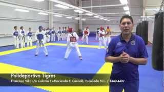 Desde adentro Tae Kwon Do en el Polideportivo Tigres [upl. by Feodor]