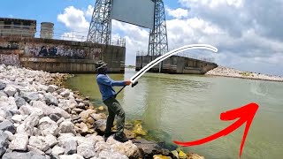 We Found Some HUGE FISH at Texas City Tournament [upl. by O'Grady509]