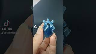 BLUE HEART PENDANT wwwwbnuglasscom glassart anatomical glassartist heart iloveyou [upl. by Oralie]