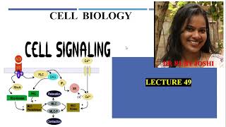 Cell Signaling Lecture49 Cell Biology Mode of Signaling Signaling Dynamics and Network [upl. by Neyuq]