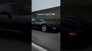 Supercharged C5 🔥 🔥 🔥 automobile cars C5 supercharged tunning corvette [upl. by Garlen465]